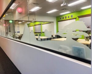 PRINTED WINDOW GRAPHICS