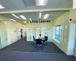 PRINTED WINDOW GRAPHICS